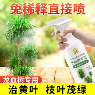 龙血树营养液免稀释叶子干枯龙铁树龙血树专用肥料液体肥专用土