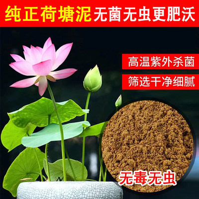 碗莲专用泥荷塘泥土何花塘泥铜钱专用土草淤泥有机莲花河泥池塘泥