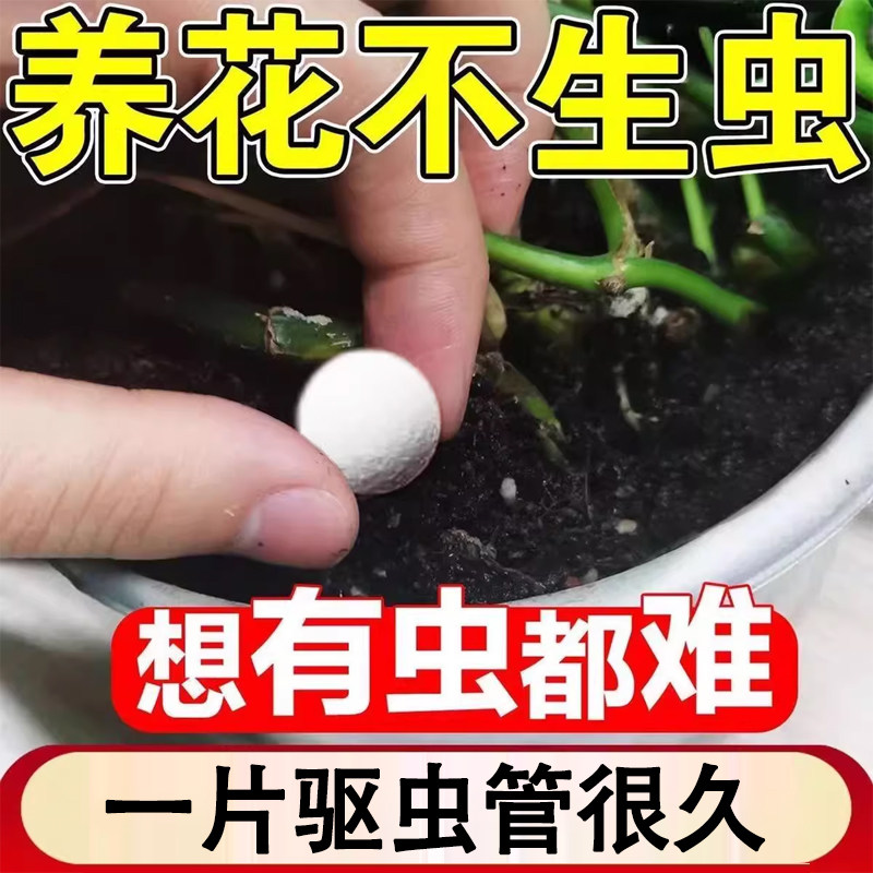 园艺防虫片杀虫剂植物小白药糖化硼肥片防虫颗粒驱虫片驱蚊防蚜虫,鲜花速递/花卉仿真/绿植园艺,家庭园艺肥料,淘宝优惠券,粉丝福利购,淘宝优惠卷