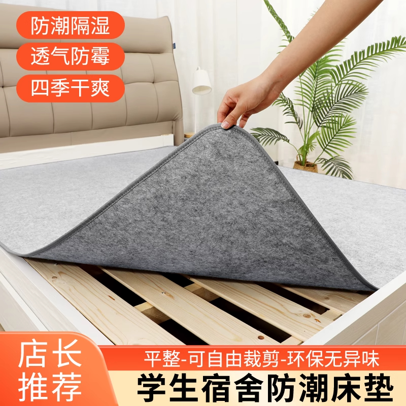 防潮防湿床垫地垫垫床上用吸学生宿舍单人床榻榻米防霉褥子铺底用
