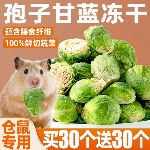 仓鼠粮食孢子甘蓝冻干