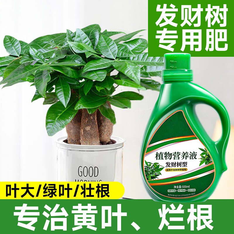发财树专用营养液肥料肥专治烂根掉叶黄叶室内盆栽绿植物花肥通用