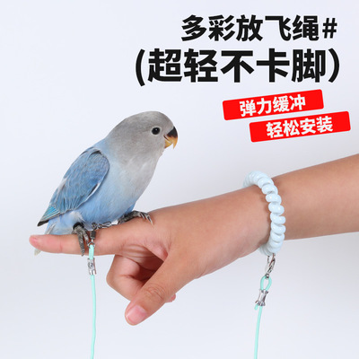 鹦鹉放飞绳不伤脚超轻训练绳虎皮玄凤牡丹八哥脚环户外遛鸟飞行绳