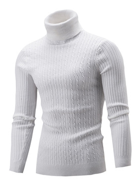 Men's Sweater High llar Solid lor Twist