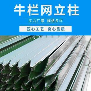 围栏立柱牛栏网水泥地柱立柱铁丝网围栏柱刺绳立柱支架铁皮柱杆子