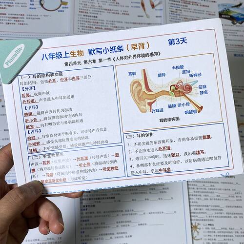 2026新版八上小四门点默