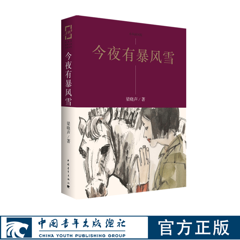今夜有暴风雪梁晓声知青小说代表作中国青年出版社【官方正版】