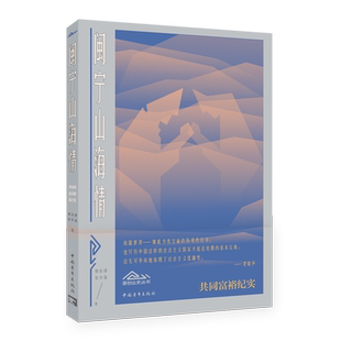 闽宁山海情 樊前锋 徐华淼 脱贫攻坚工程纪实文学 中国青年出版社