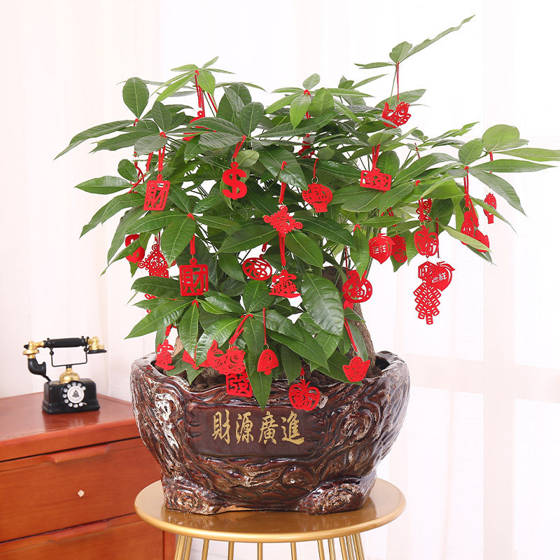 植绒发财树上盆景乔迁新年装饰