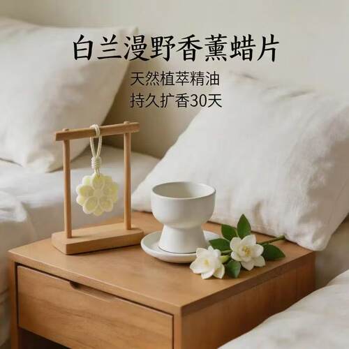 衣柜香薰蜡片女生淡香衣橱鞋柜持久散香空气清新剂香挂生日伴手礼