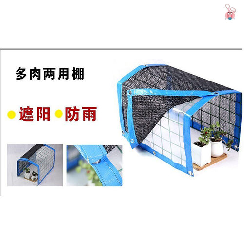 多肉植物夏天价格 多肉植物夏天图片 星期三