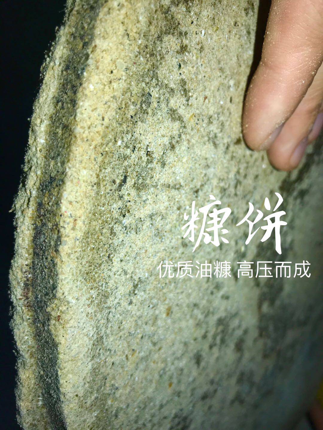 新鲜窝料渔具垂钓菜籽饼