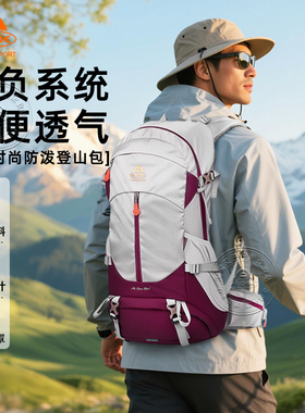 艾王热销新款36L专业户外登山双肩背包男女士多功能轻便徒步旅行