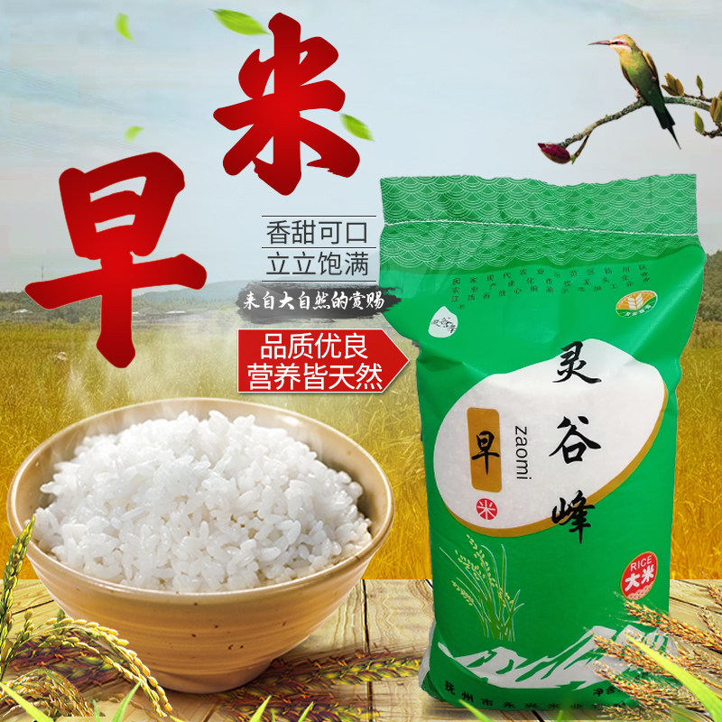 灵谷峰早米江西大米50斤长粒香丝苗米农家新米餐餐吃米非真空籼米