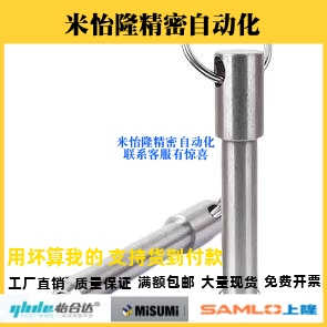 BLPS5/6/8/10/12/16-25/30/40/50/60 球头锁紧销 弹簧型快卸插销