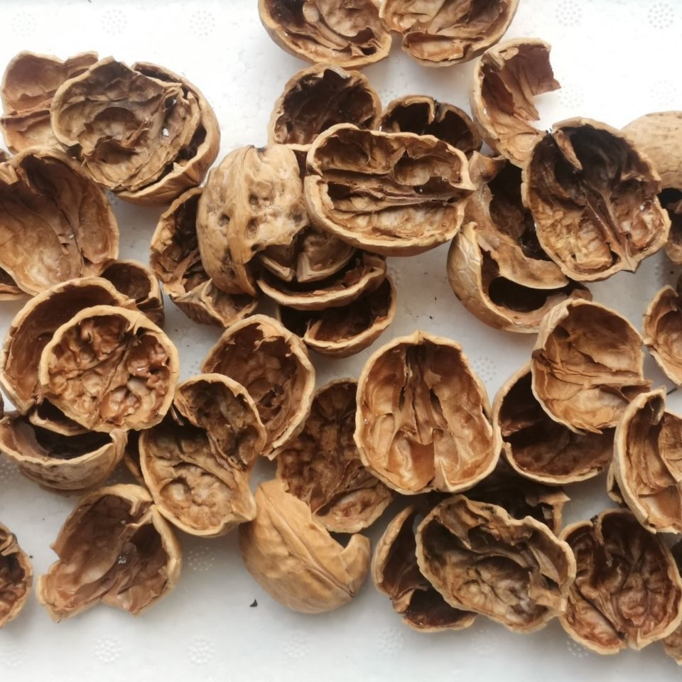 百年老树核桃皮老核桃树枝中药材野生分心木核桃壳煮鸡蛋核桃树叶