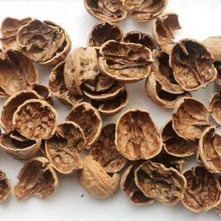 百年老树核桃皮老核桃树枝中药材野生分心木核桃壳煮鸡蛋核桃树叶