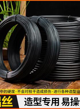 盆景铝丝造型铝线定型专用蟠扎黑色制作树枝绑扎线扎线铁丝工艺品