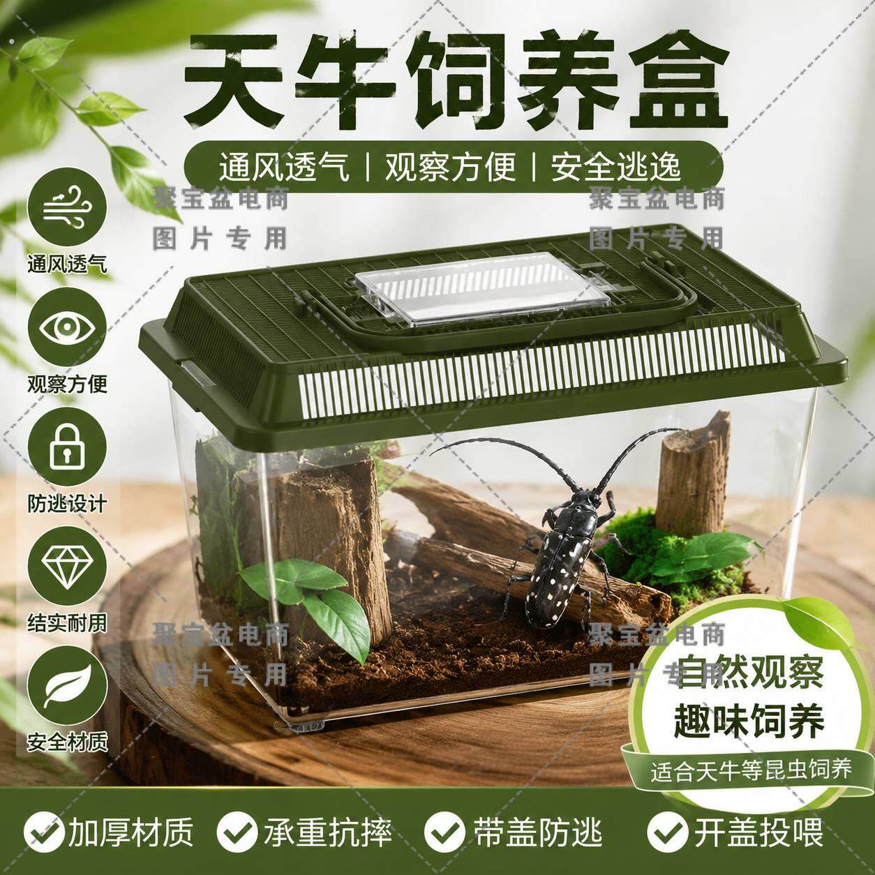 天牛饲养盒塑料家用爬虫户外昆虫专用容器中小型手提饲养箱子带盖