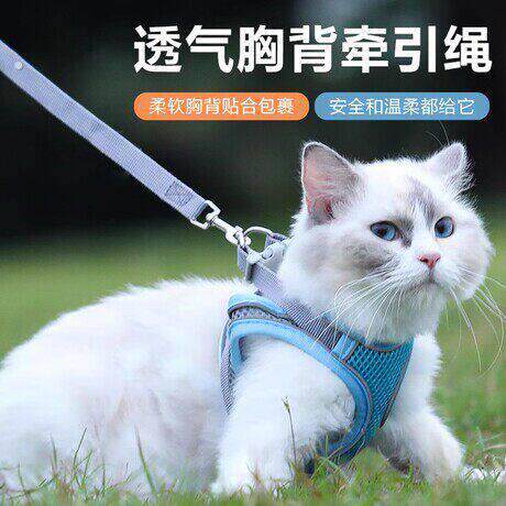 小猫牵引绳防挣脱遛毛孩子专用神器背心式可伸缩外出的衣服溜绳子