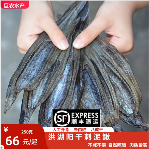阳干刺泥鳅刀鳅沙鳅湖北特产