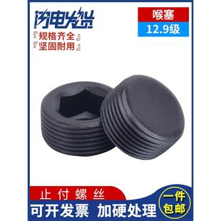 12.9级内六角堵头螺丝止付油塞喉塞紧定螺钉M10M12M14M16M18 M33