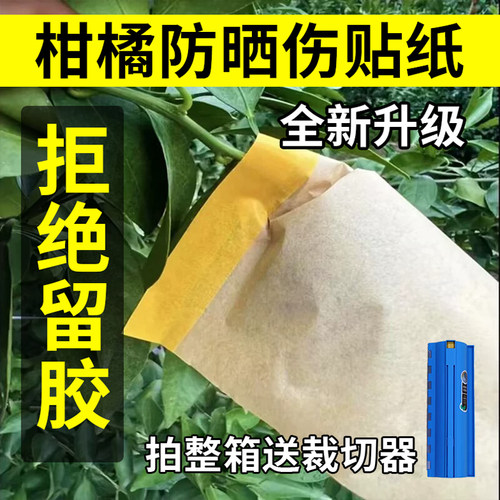 全新柑橘防晒伤贴纸不留胶易透气