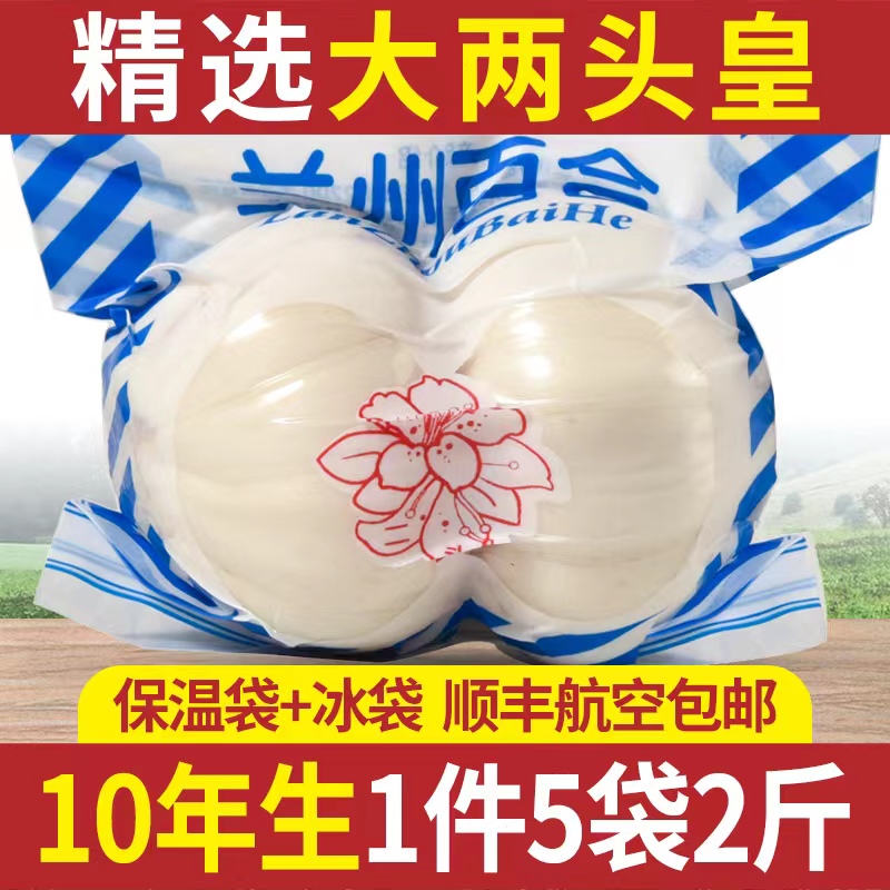 十年生大果兰州新鲜甜百合1000g