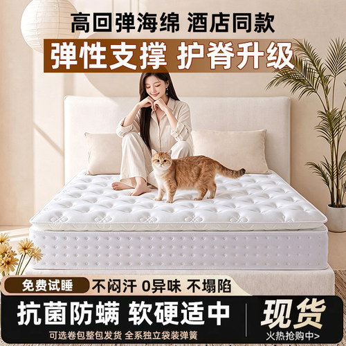 静音独立袋装弹簧床垫