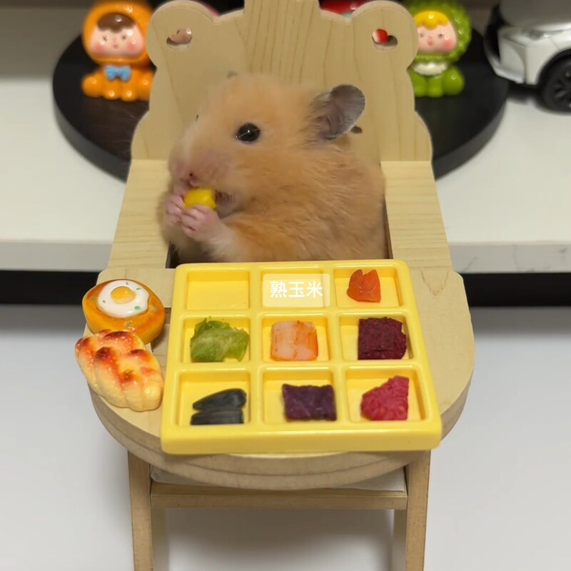 仓鼠网红餐桌椅宠物用品木制玩具台可爱桌子摆拍宠物造景装饰品