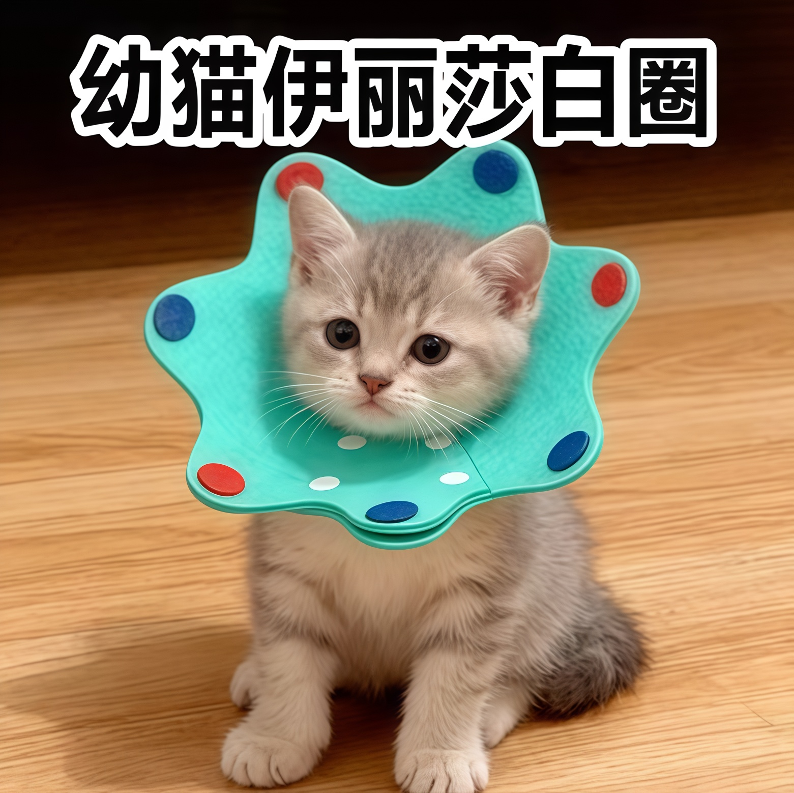 幼猫伊丽莎白圈1斤小猫咪专用绝育项圈不影响吃饭超轻软圈防舔用