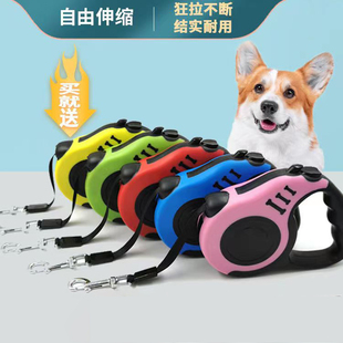 猫咪牵引绳猫绳子宠物狗狗可伸缩调整遛猫绳防挣脱溜猫专用绳神器