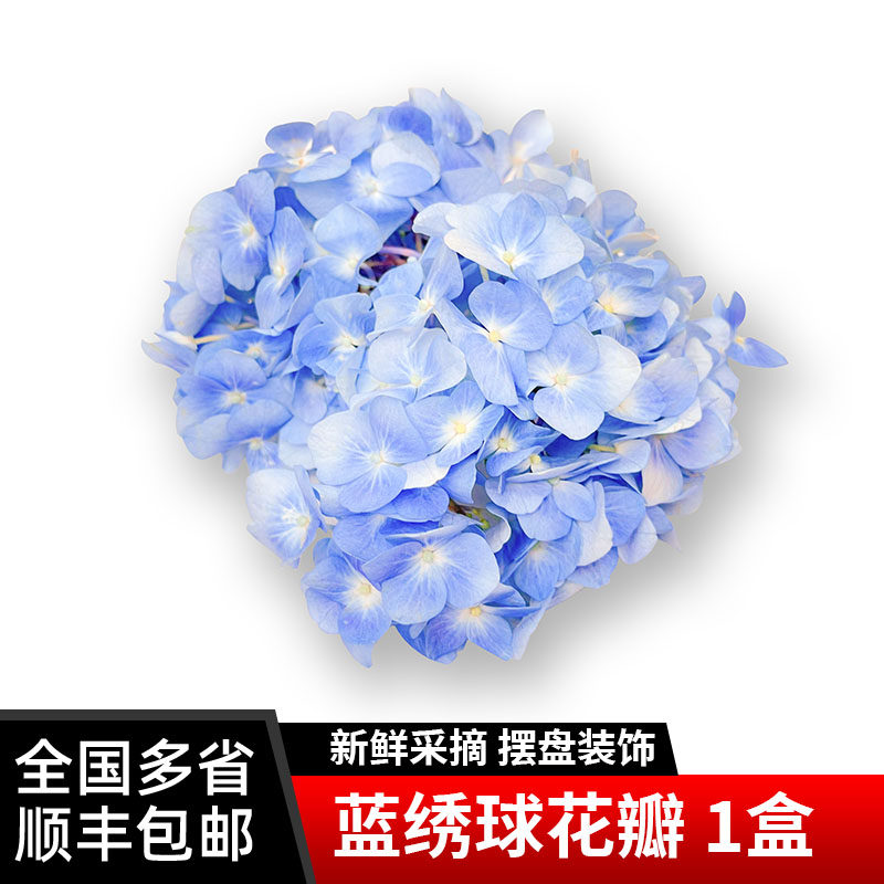 蓝绣球花瓣5g/盒 餐厅酒店日料西餐菜品摆盘装饰鲜花包邮