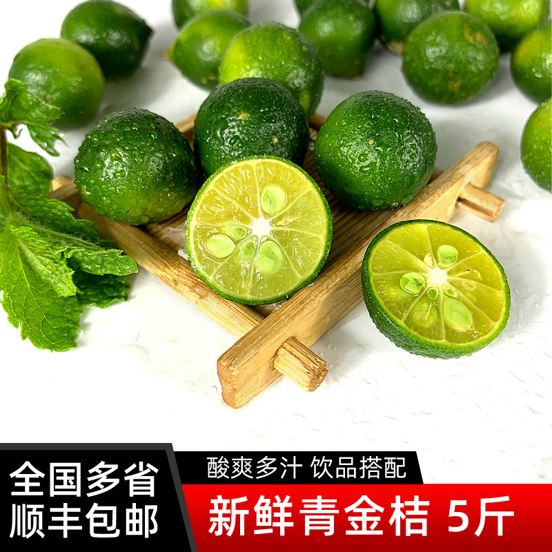 海南小青桔5斤 新鲜水果青金桔小柠檬皮薄多汁奶茶饮品原料包邮