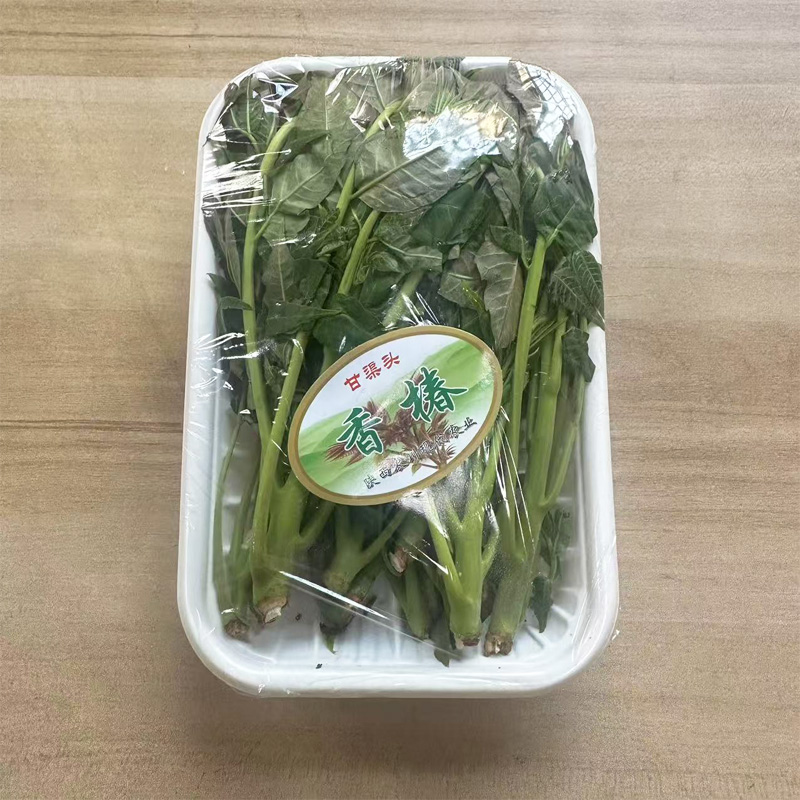 新鲜青香椿100g/盒 春芽菜炒蛋当季农家蔬菜香春头香椿菜 包邮