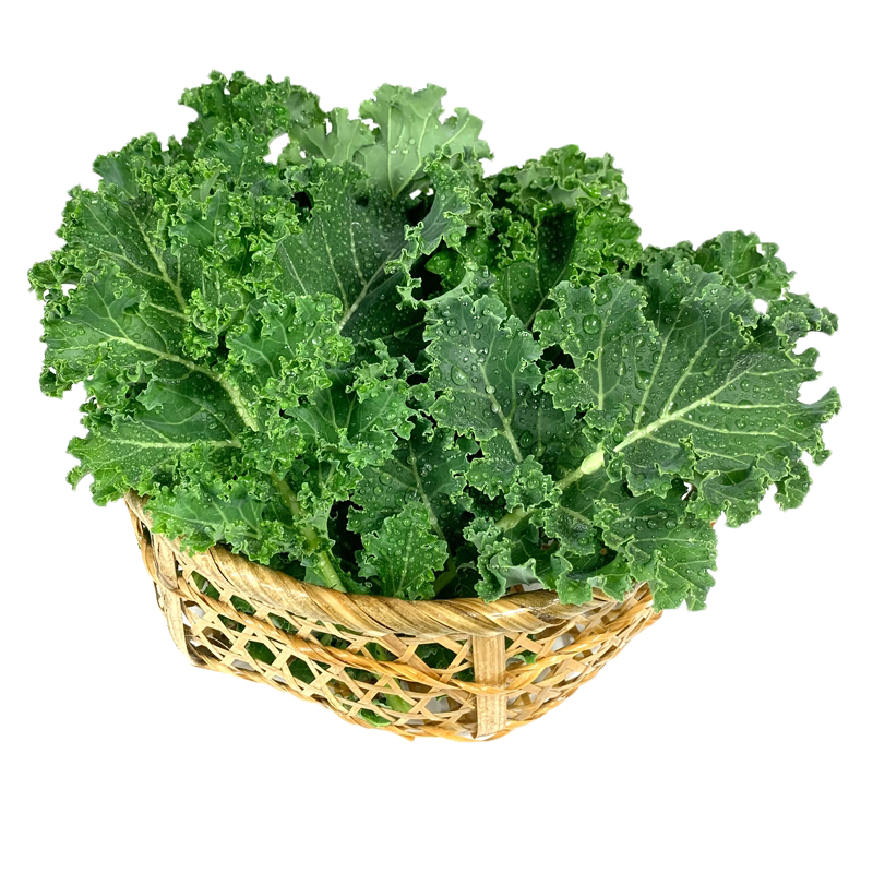 新鲜蔬菜羽衣甘蓝沙拉榨汁食材
