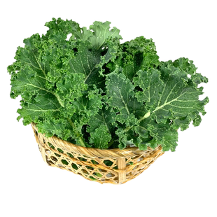 羽衣甘蓝 新鲜蔬菜嫩叶芥蓝菜kale沙拉食材榨汁蔬菜 5件包邮