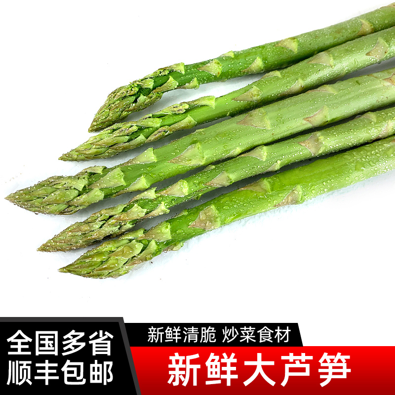 新鲜大芦笋农家现摘新鲜蔬菜绿芦笋青芦笋炒菜凉拌菜食材龙须菜