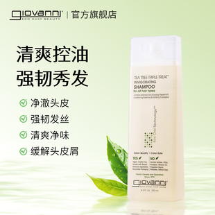 Giovanni茶树控油洗发水露头发油腻克星无硅油男士 浅香蓬松洗头膏