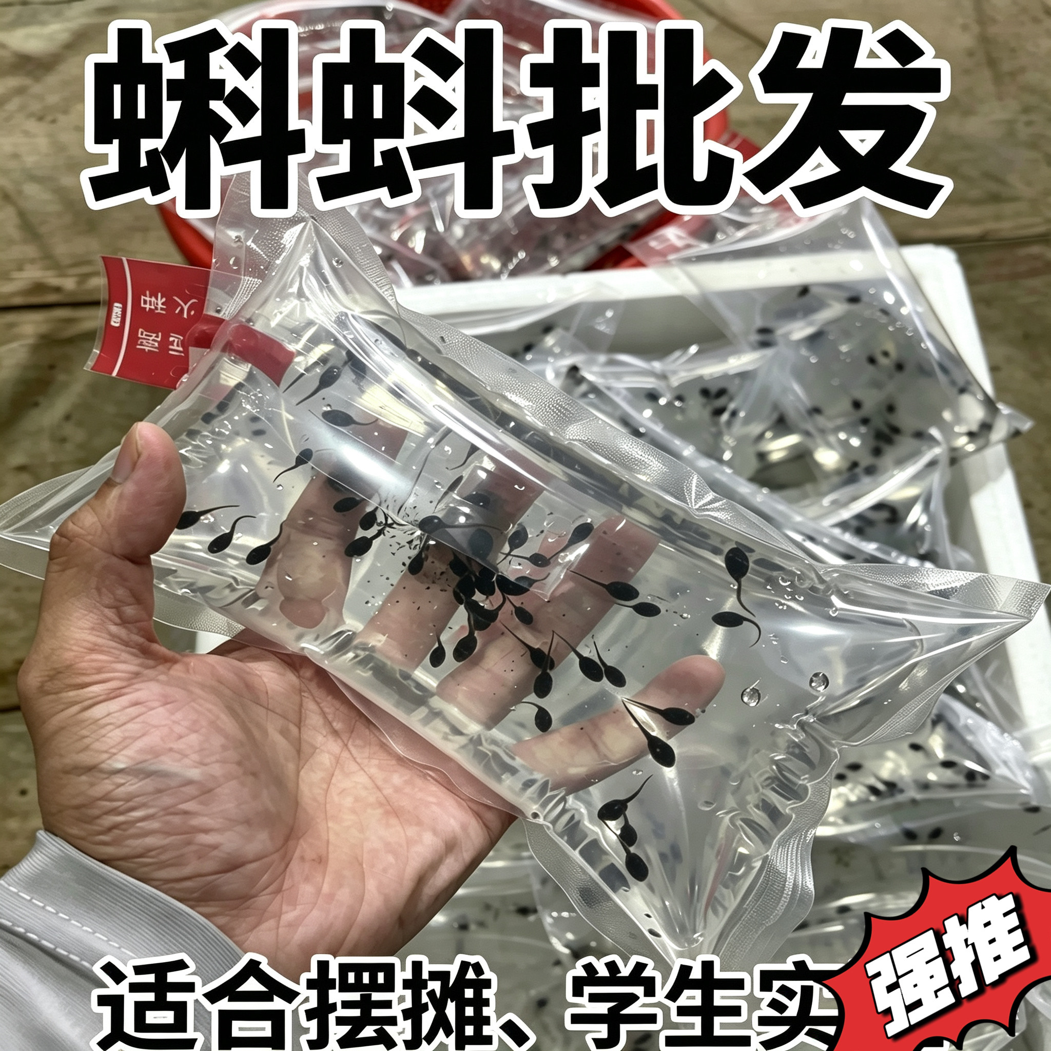 活的小蝌蚪批发零售青蛙牛蛙蝌蚪活体水族宠物观赏场地直供送饲料
