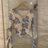 法式 小众百搭上衣 新款 辣妹复古印花网纱性感v领长袖 t恤女2025夏季