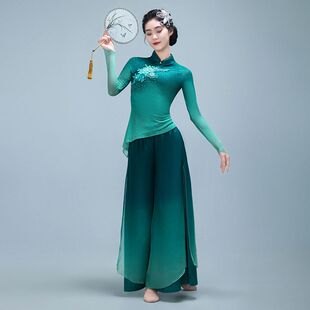 新款舞蹈古典演出服胶州秧歌舞蹈服民族练功纱衣飘逸渐变中国上衣