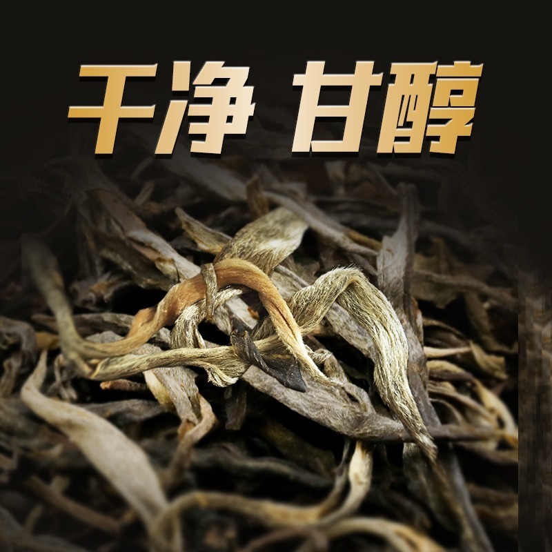 云南普洱茶生茶2022年原料散装古树茶散茶云南大叶种晒青茶-封面