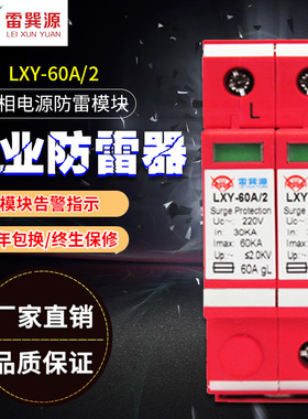 雷巽源防雷单相电源防雷模块 通流量60KA 防雷模块避雷器