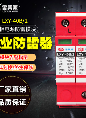 家用防雷保护器 单相浪涌电源防雷模块防雷器 40KA 220V避雷器