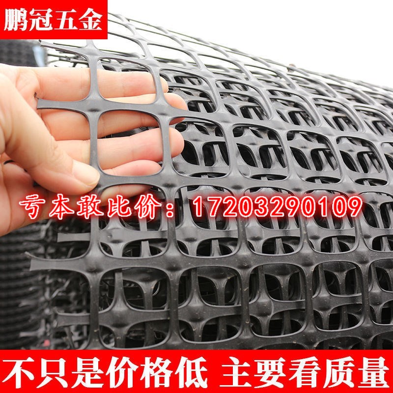 土工格栅网养鸡养鸭塑料养殖网围栏网防护隔离网动物防逃网玉米网