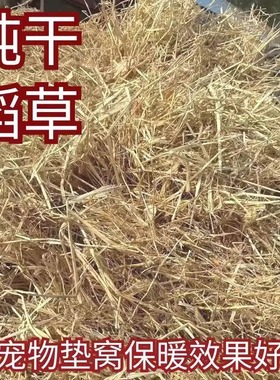 新稻草天然宠物鸡窝草干稻草牛羊猪饲料狗鸭窝草道具谷草秸秆
