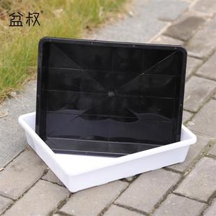 的店 37cm浸水盆蓄水篮 多肉整理收纳 防漏 可配透明盖闷养盖