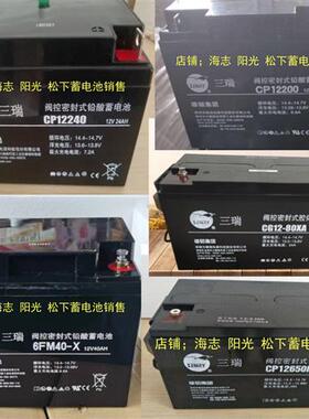 蓄电池CP12400F 6FM65 12V100AH CP1270 24 CP12170-X CP1245