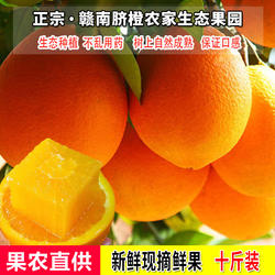 正宗江西赣南脐橙孕妇水果新鲜现摘当季信丰脐橙包邮十斤装手剥橙